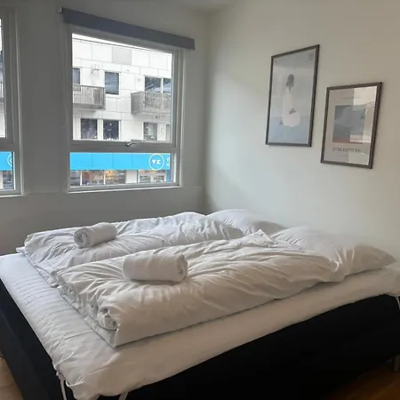 Huge Luxury Apartment - Central & Prime Location Voss