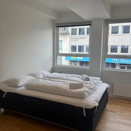 Spacious Luxury - Heart Of Apartament Voss