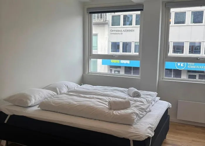 Huge Luxury Apartment - Central & Prime Location Lägenhet Voss